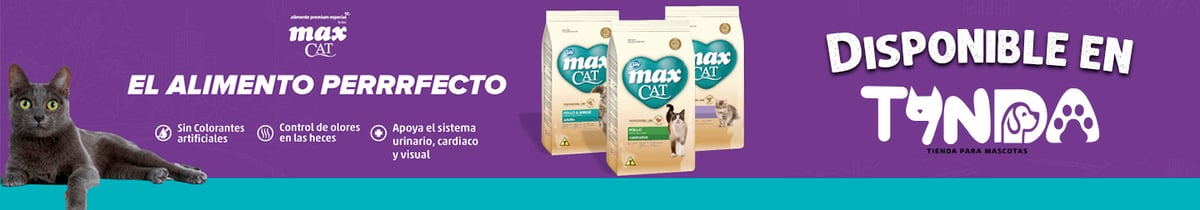 Max cat